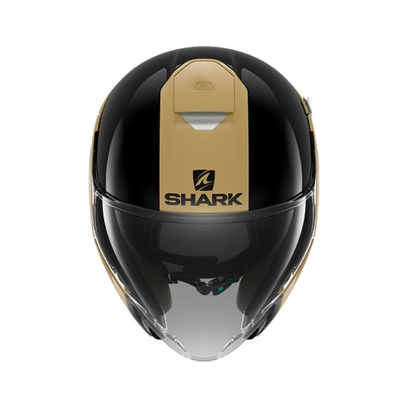 shark city cruiser 2022
