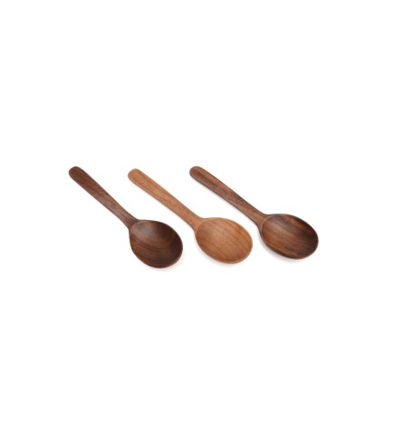 Wood Masala Small Spoon
