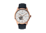 Fastrack 3184nm01