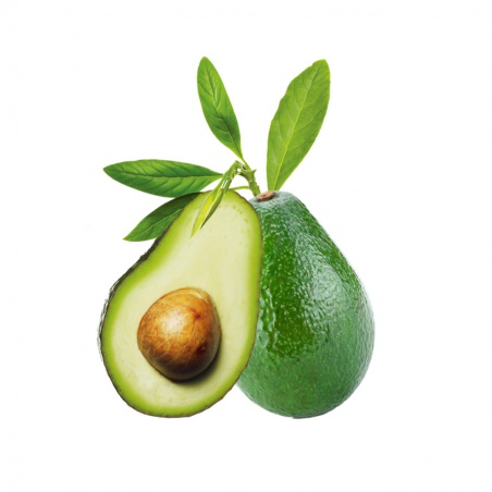 Avocado Fruit