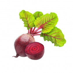 Beetroot Healthline
