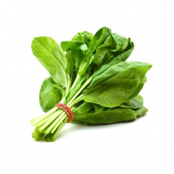 Vegetable Spinach