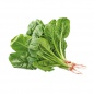 Vegetable Spinach