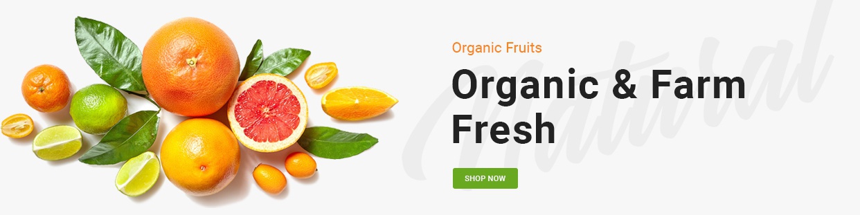 Herbalife Ernährung