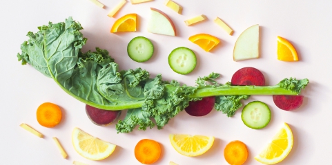 UI Design Principles