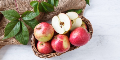 Typography in Design Systems