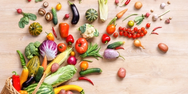 The Principles of Design