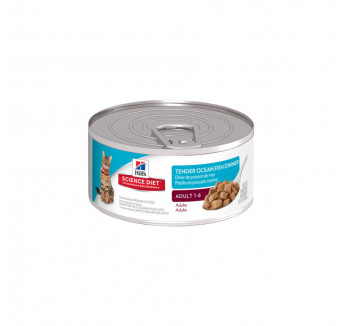 Cibo in scatola per gatti