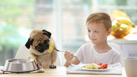 5 простых принципов UX Типографика в дизайн-системах