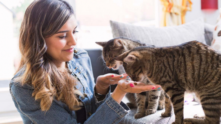 Изысканные способы носить замшевую модель