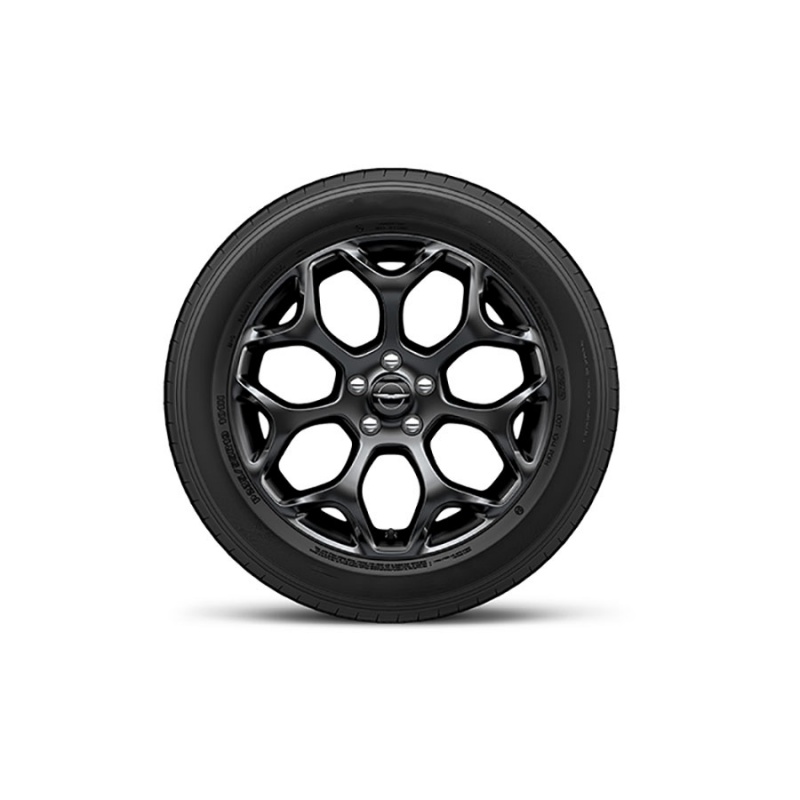 Erina Plus Cleanser Erina Plus Cleanser