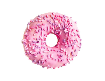 Brown bear - Vector graphics