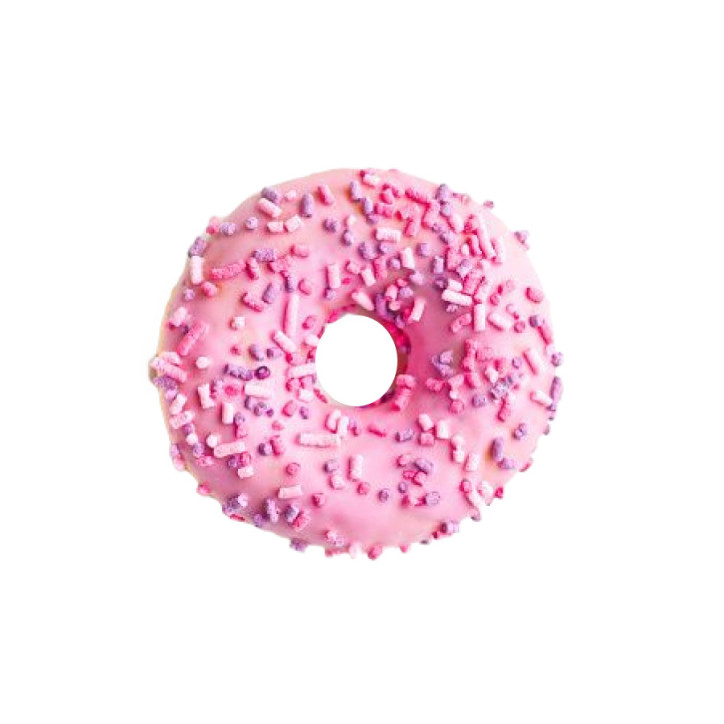 Oso pardo - Gráficos vectoriales