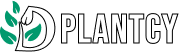 DPlanty Store
