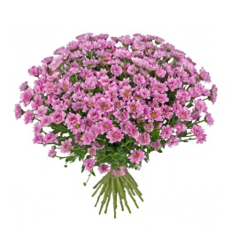 Exquisito Ramo de Belleza