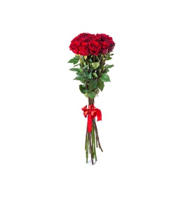 Bouquet di fard di Natale