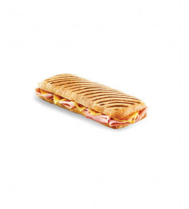 Panini