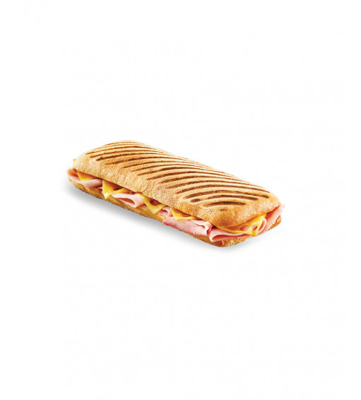 Panini