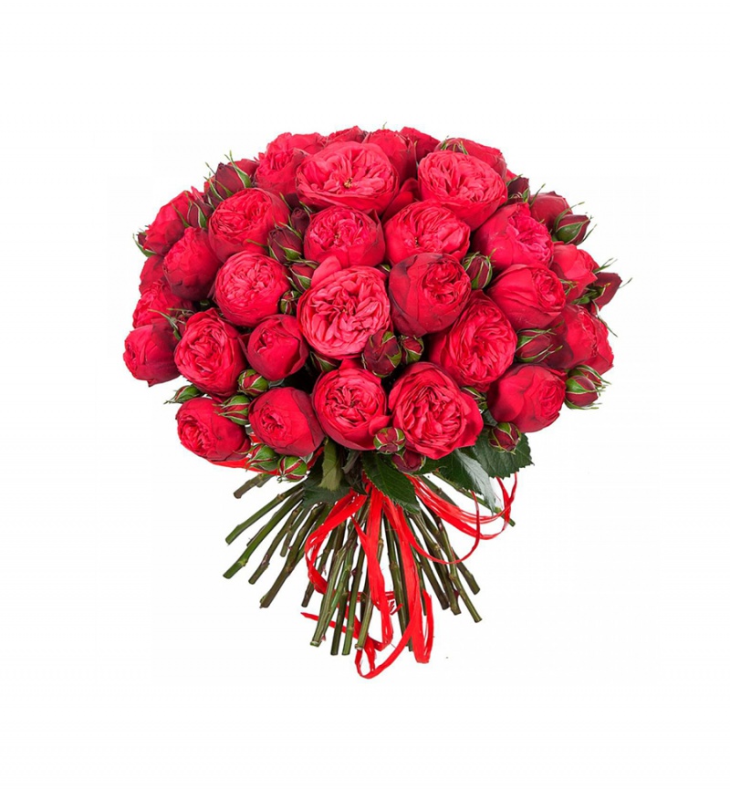 Ramo de flores moradas Ramo de flores moradas