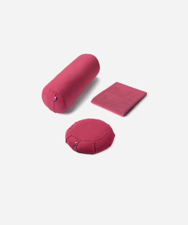 تلفزيون ذكي