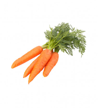Carottes