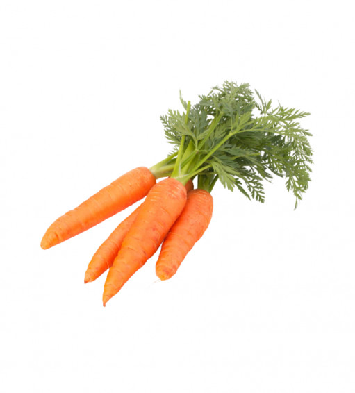Carottes