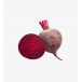 Rote Beete