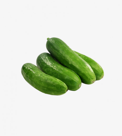 Mini Cucumber