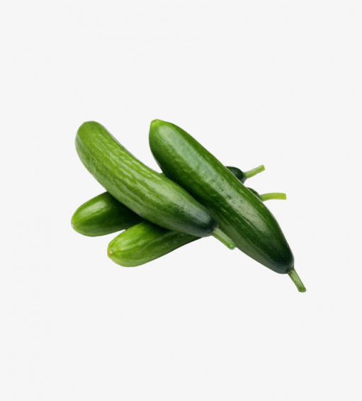 Mini Cucumber
