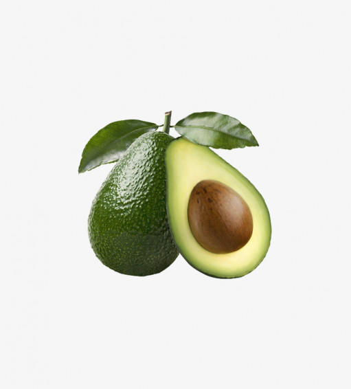 Hass Avocado