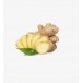 Ginger