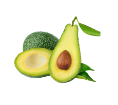 Avocat