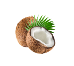 CoCoNet