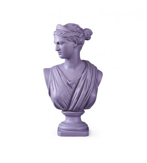 Versailles Bust